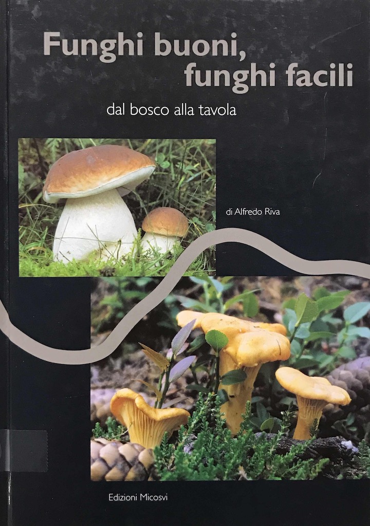 Funghi buoni, funghi facili